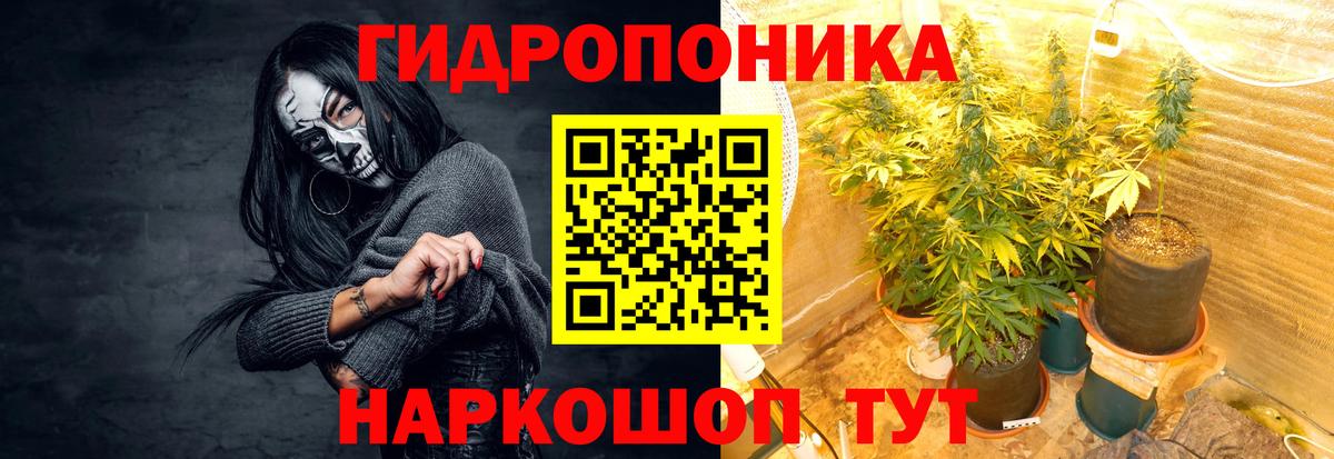 Каннабис AK-47  Каннабис сатива  Конопля сатива  Шуя  Вход с VPN 